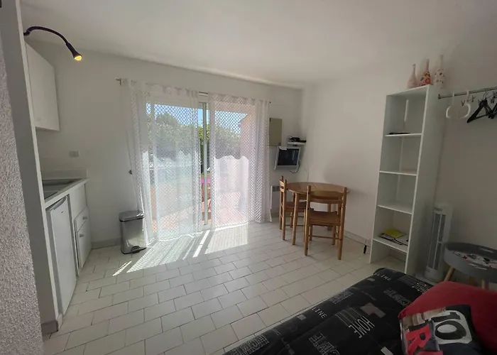 Proche Avec Terrasse Et Piscine à Saint-cyprien - Fr-1-106-64 Appartement *