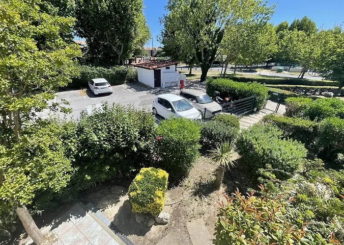 Appartement Proche Avec Terrasse Et Piscine à Saint-cyprien - Fr-1-106-64 *